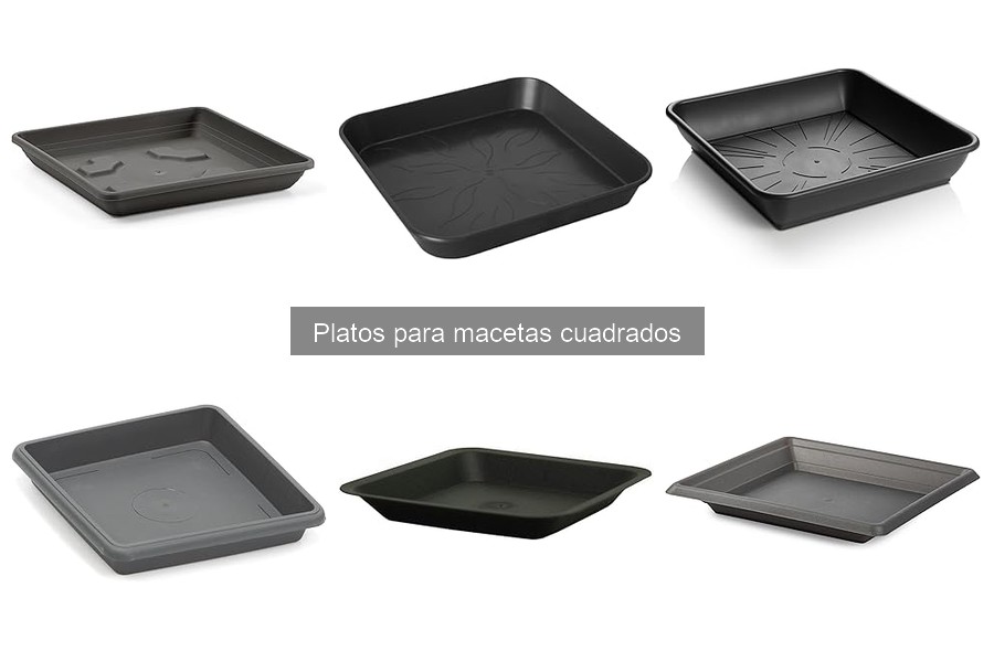 Comparativa de precios: platos para macetas cuadrados