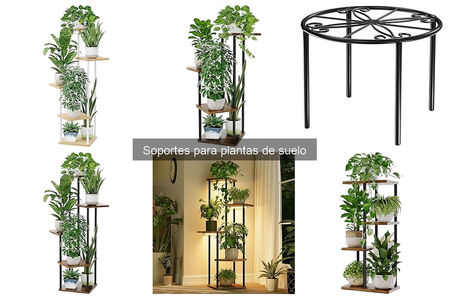 Comparativa de Soportes de Metal y Madera para Plantas