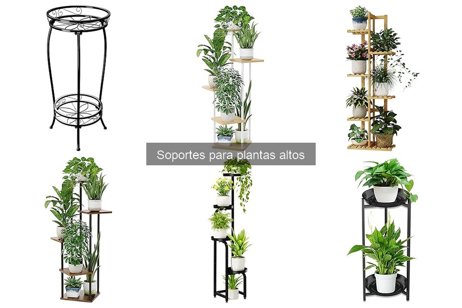 Comparativa de Soportes para Plantas Altos: Mejores Marcas