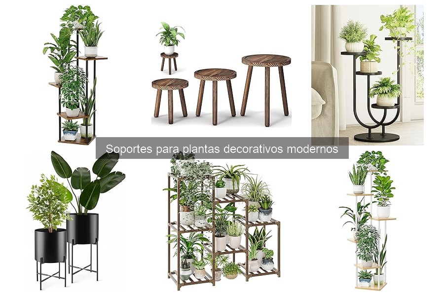 Comparativa de Soportes para Plantas: Pared vs Suelo