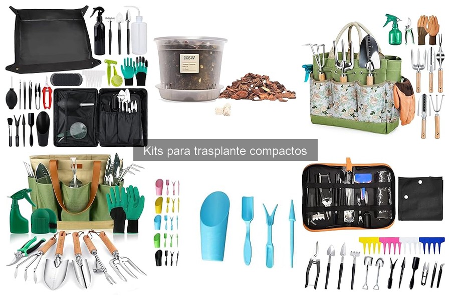 Comparativa: Kits de trasplante compactos vs. tradicionales
