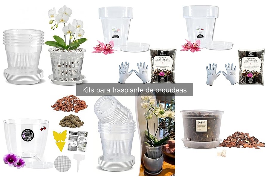 ** Comparativa: Kits para trasplante de orquídeas vs. herramientas individuales