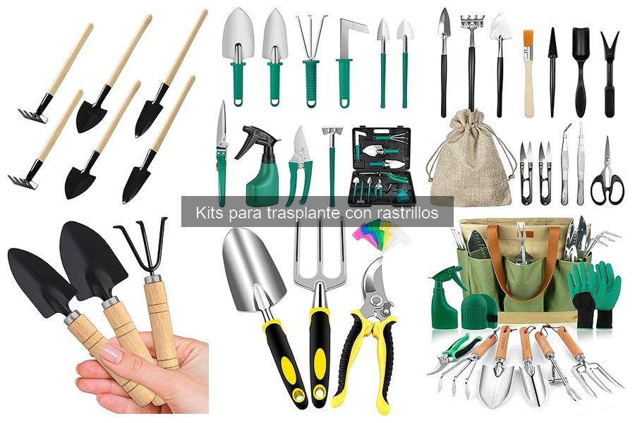 Comparativa: Kits para Trasplante vs. Herramientas Individuales
