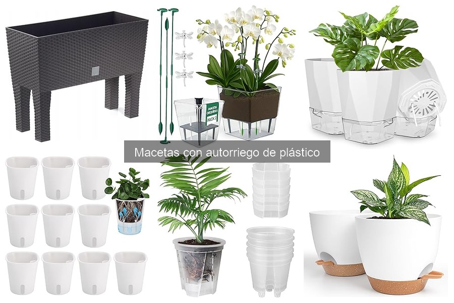 Comparativa: Macetas con Autorriego de Plástico vs Tradicionales