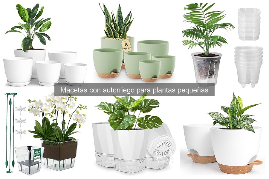 Comparativa: Macetas con Autorriego vs Macetas Convencionales