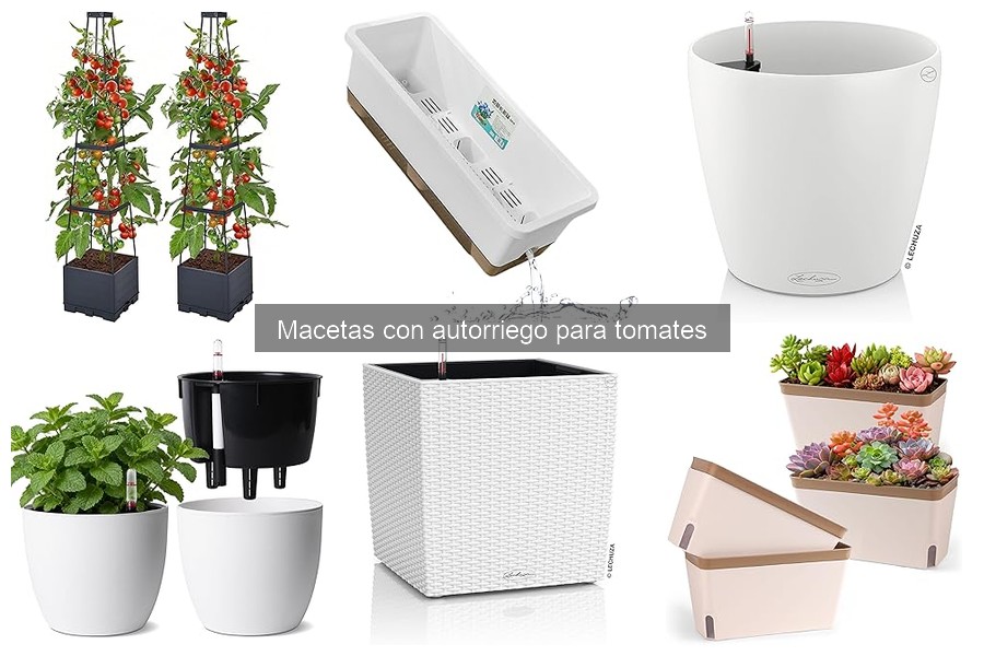 Comparativa: Macetas con Autorriego vs. Macetas Tradicionales
