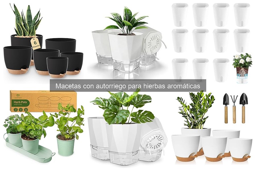 Comparativa: Macetas con Autorriego vs Tradicionales