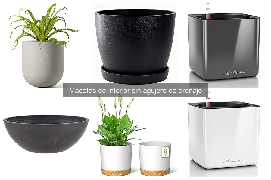 Comparativa: Macetas con y sin agujero de drenaje