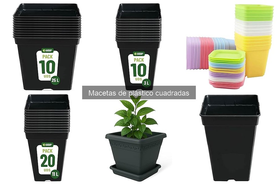 Comparativa: Macetas Cuadradas vs Redondas para Plantas