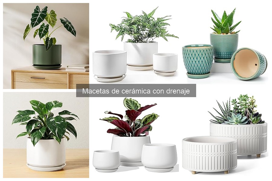 Comparativa: Macetas de Cerámica con Drenaje vs. Plástico