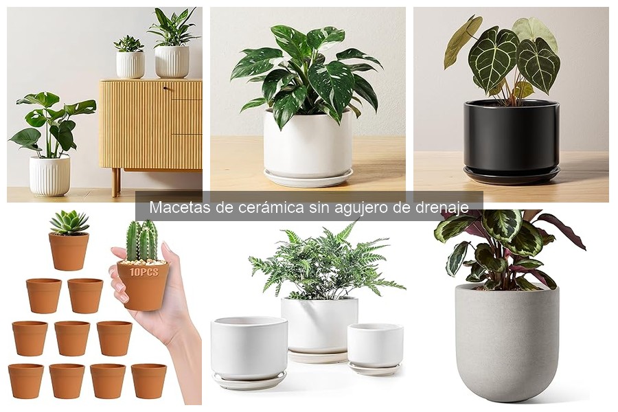 Comparativa: Macetas de Cerámica con y Sin Drenaje