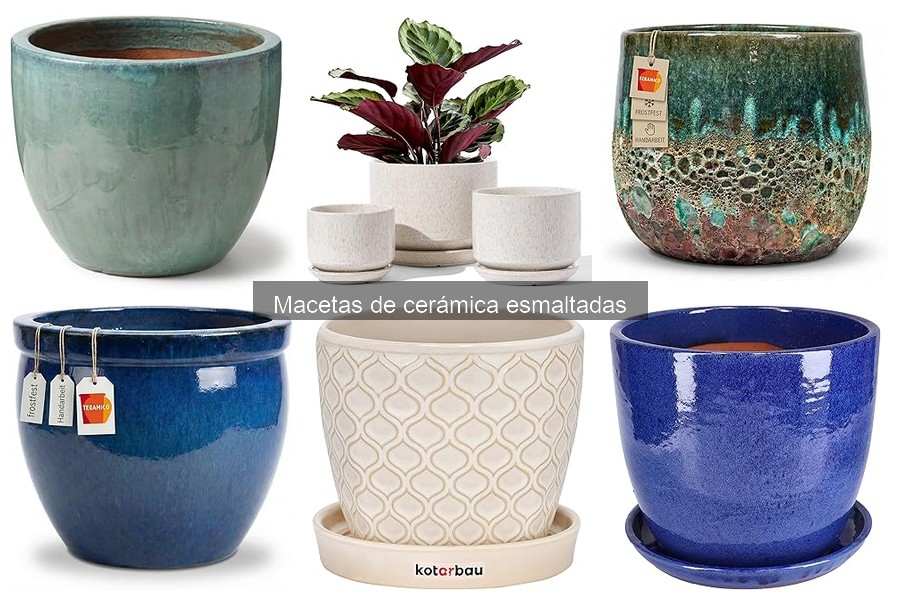 Comparativa: Macetas de cerámica esmaltadas vs. plásticas