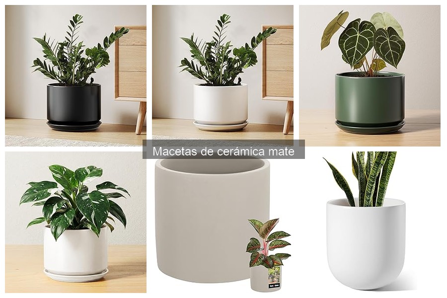 Comparativa: Macetas de Cerámica Mate vs Brillantes