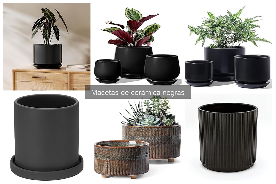 Comparativa: Macetas de Cerámica Negras vs Otras Opciones