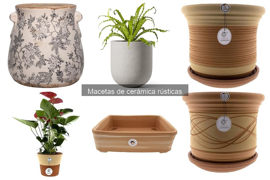 Comparativa: Macetas de Cerámica Rústicas vs. Plástico