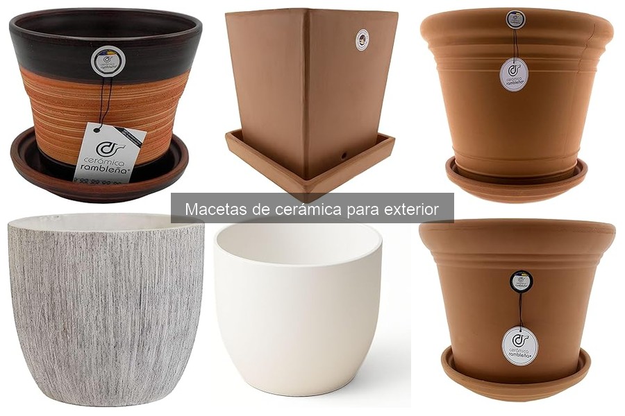 Comparativa: Macetas de cerámica vs. otros materiales