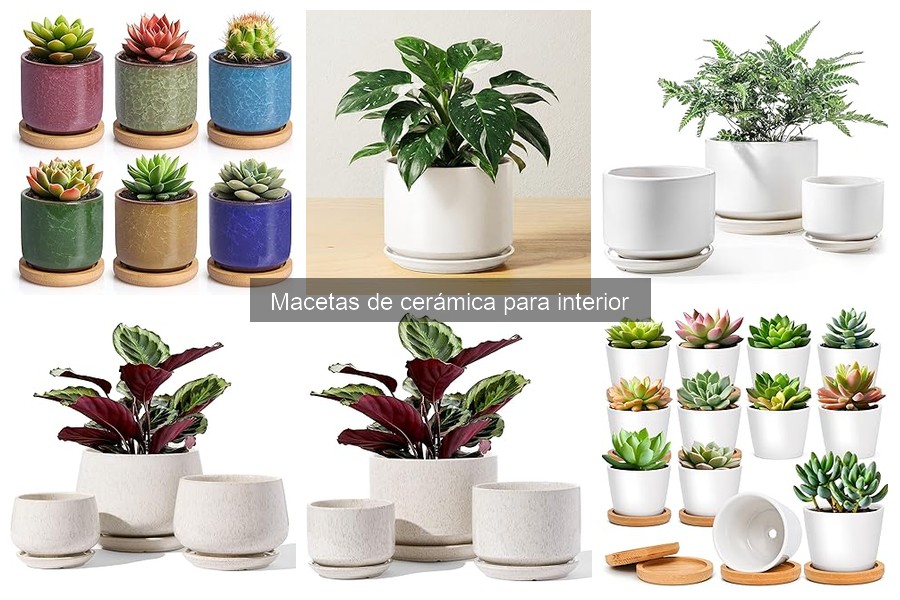 Comparativa: Macetas de Cerámica vs Plástico para Interior