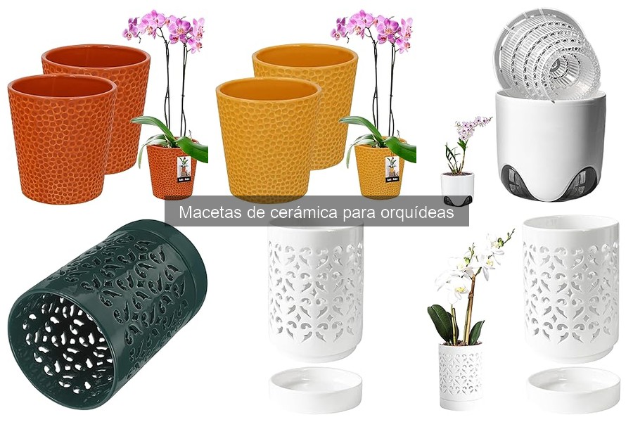 Comparativa: Macetas de Cerámica vs. Plástico para Orquídeas