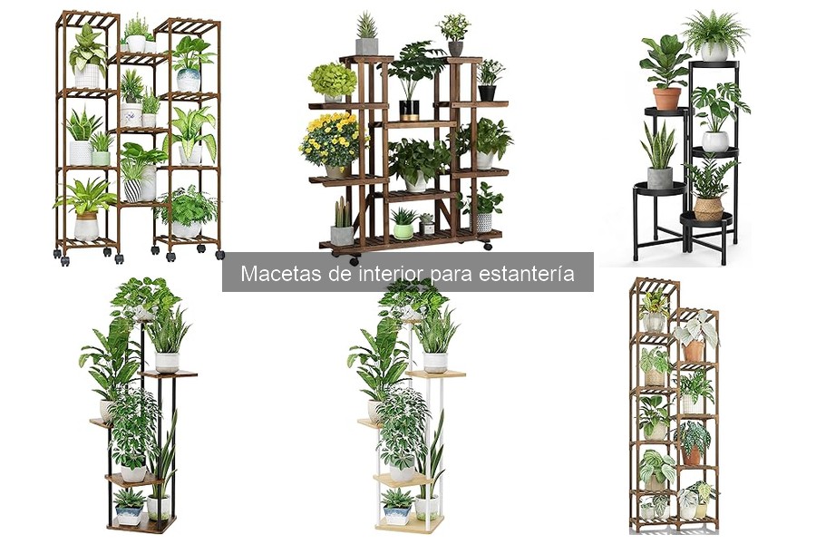 ** Comparativa: Macetas de interior vs exterior - ¿Cuál elegir?