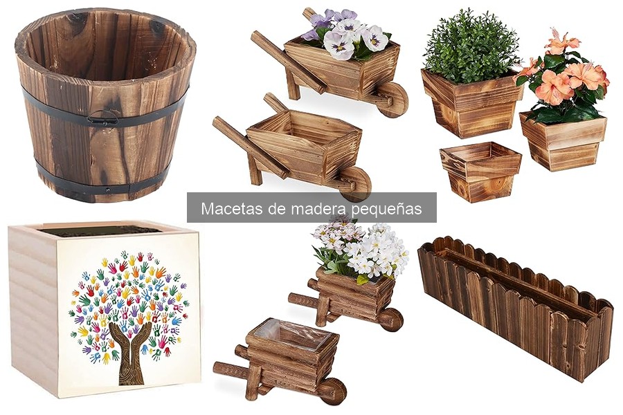 Comparativa: Macetas de Madera Pequeñas vs Plástico