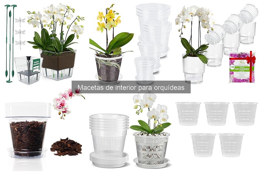 Comparativa: Macetas de Madera vs. Plástico para Orquídeas