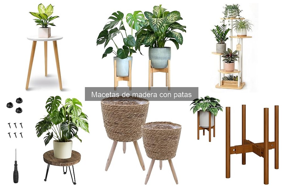 Comparativa: Macetas de Madera vs. Plástico y Cerámica