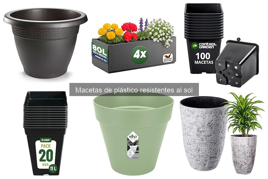 Comparativa: Macetas de Plástico vs. Biodegradables