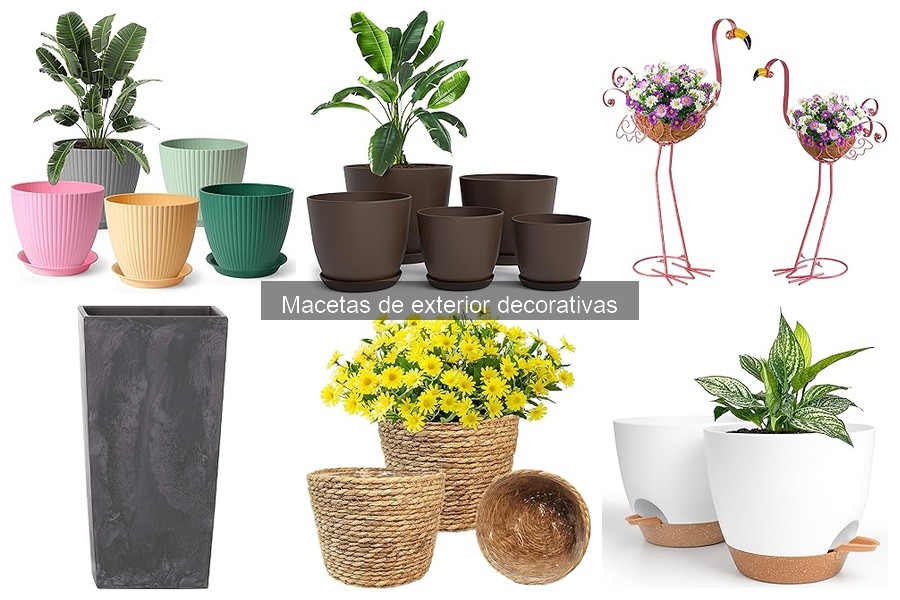Comparativa: Macetas de plástico vs. cerámica decorativas