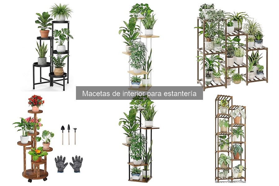 Comparativa: Macetas de plástico vs cerámica para estanterías