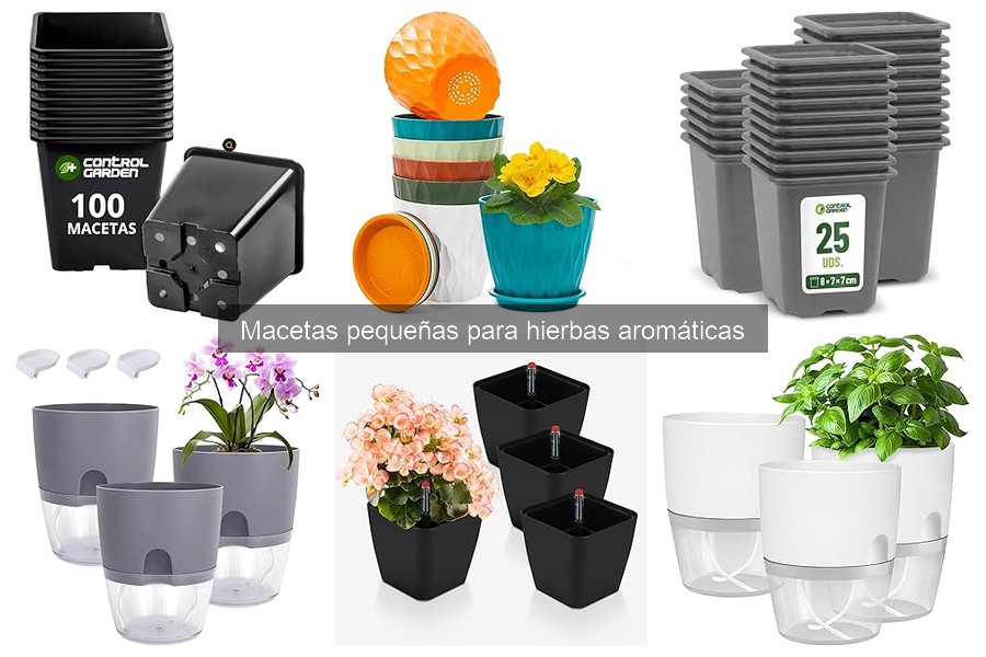Comparativa: Macetas de Plástico vs Cerámica para Hierbas Aromáticas