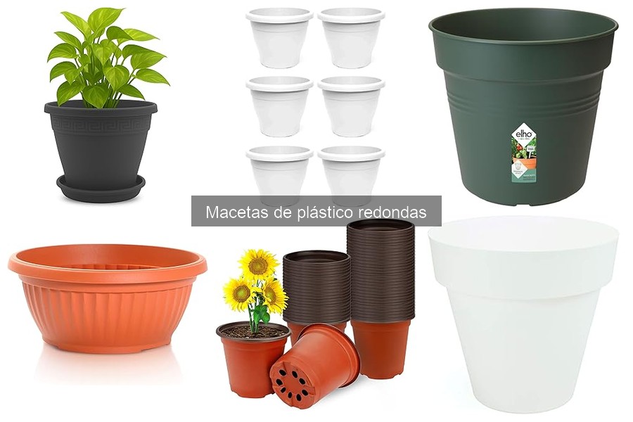 Comparativa: Macetas de Plástico vs Cerámica Redondas