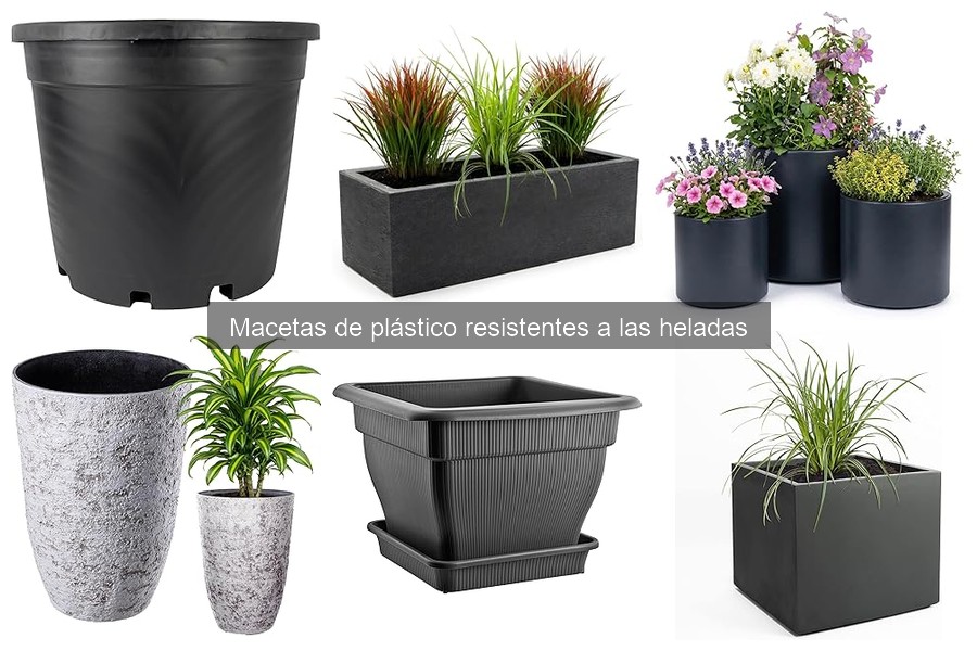 Comparativa: Macetas de plástico vs. cerámica resistentes a heladas
