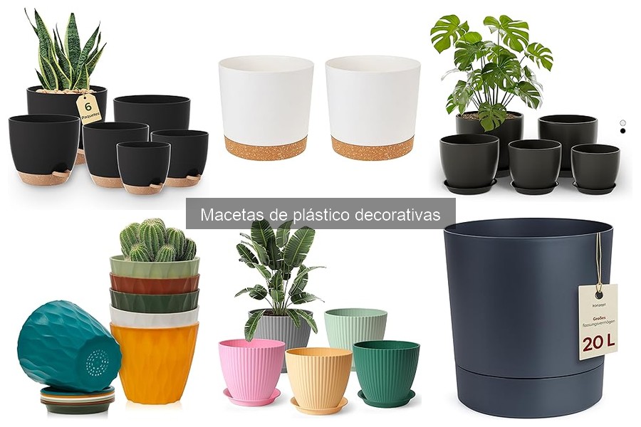 Comparativa: Macetas de plástico vs. macetas de barro