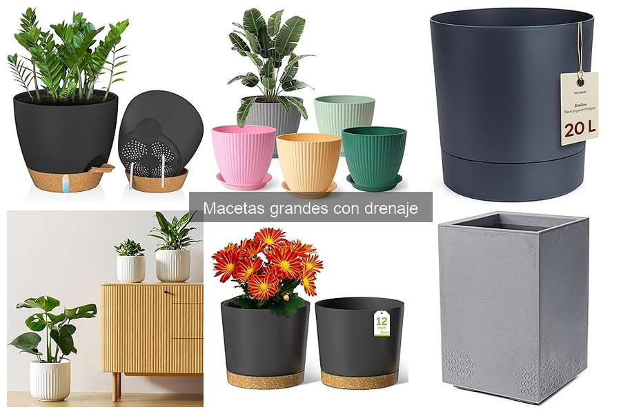 Comparativa: Macetas grandes con y sin drenaje