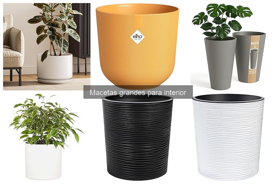 Comparativa macetas grandes para interior: cerámica vs plástico