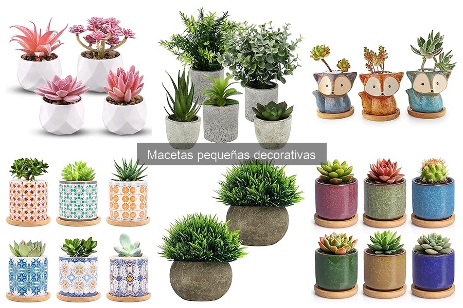 Comparativa: Macetas pequeñas de cerámica vs plástico