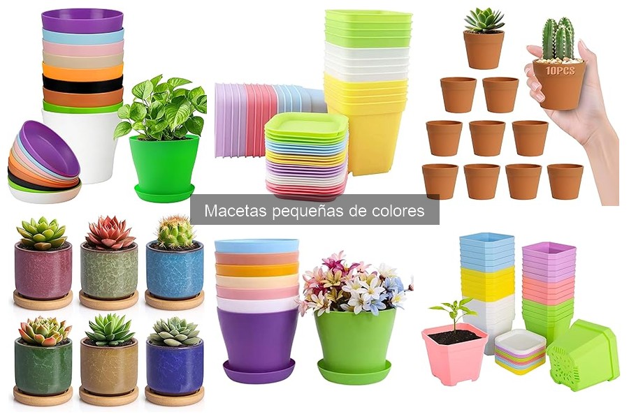 Comparativa: Macetas pequeñas de colores vs. grandes