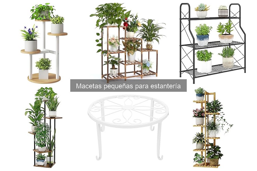 Comparativa: Macetas pequeñas de plástico vs cerámica