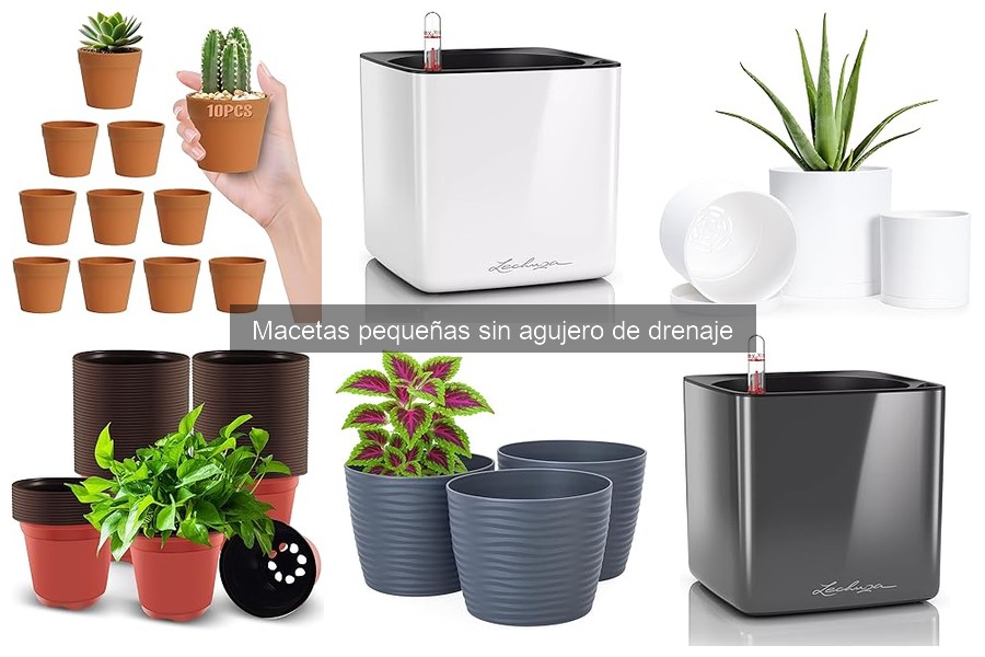 Comparativa: Macetas pequeñas sin agujero de plástico vs cerámica