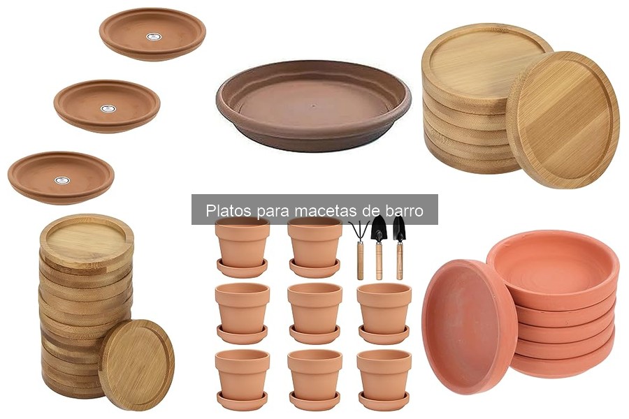 Comparativa: Platos de barro vs. plástico para macetas