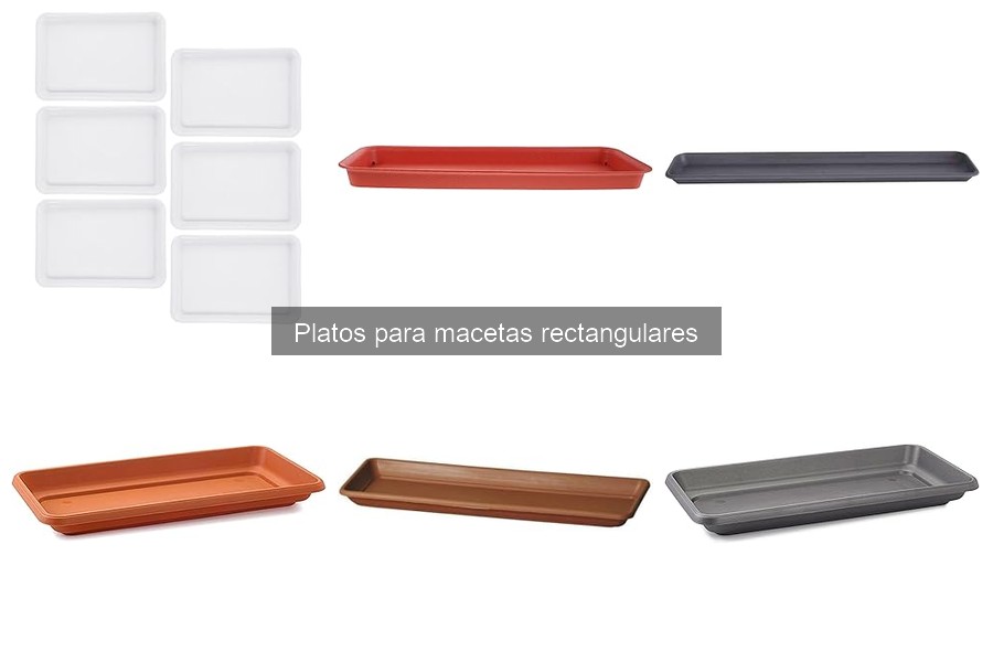 Comparativa: Platos de plástico vs cerámica para macetas rectangulares