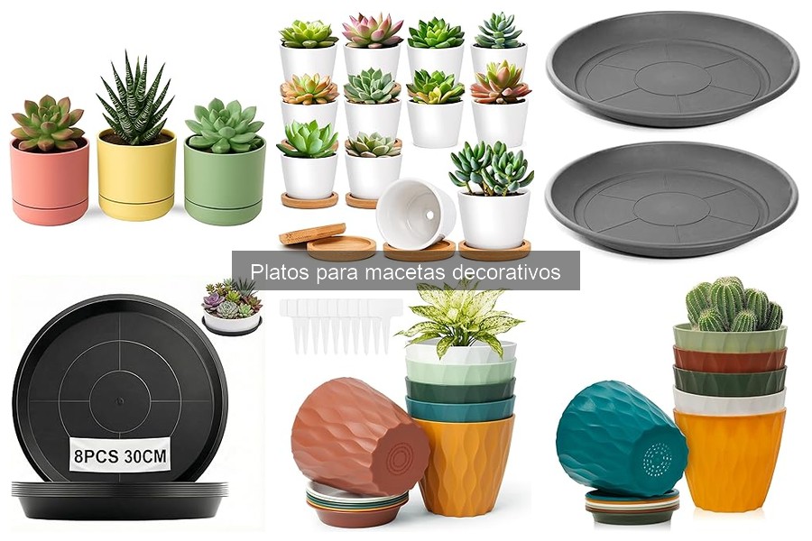 Comparativa: Platos para Macetas con y Sin Drenaje