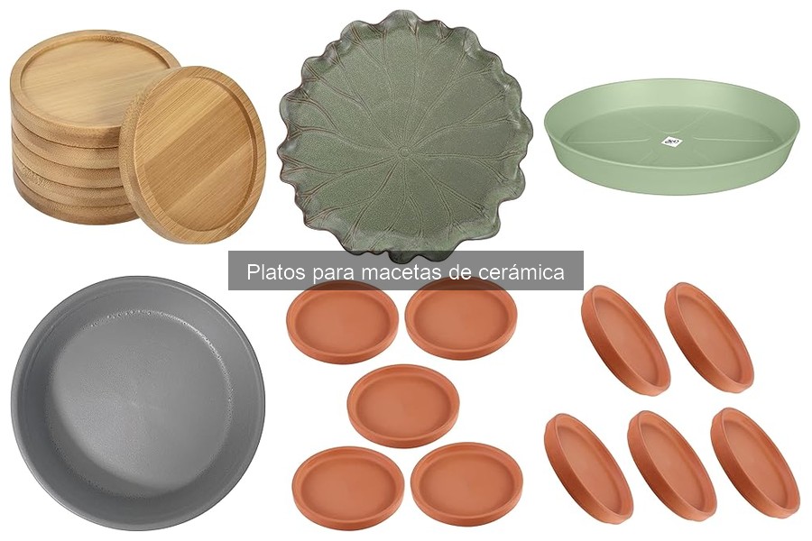 Comparativa: Platos para Macetas de Cerámica vs Plástico