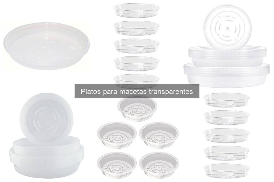 Comparativa: Platos Transparentes vs. Platos de Colores