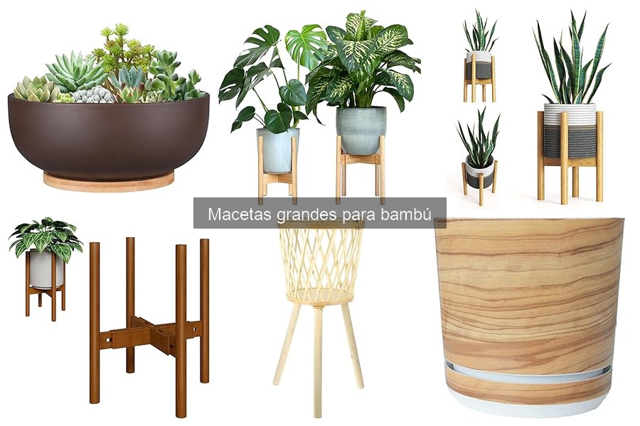 Comparativa precios de macetas grandes para bambú 2023