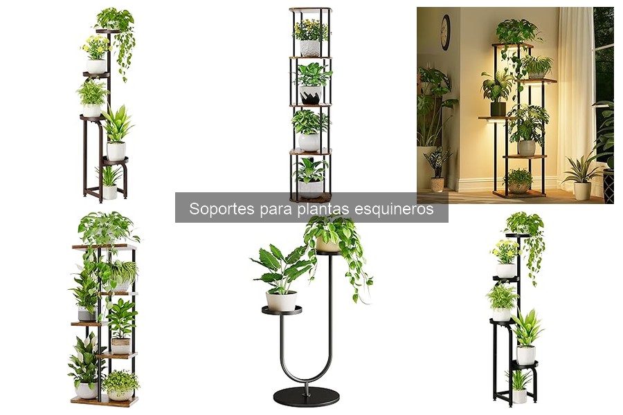 Comparativa: Soportes de Madera vs Metal para Plantas Esquineros