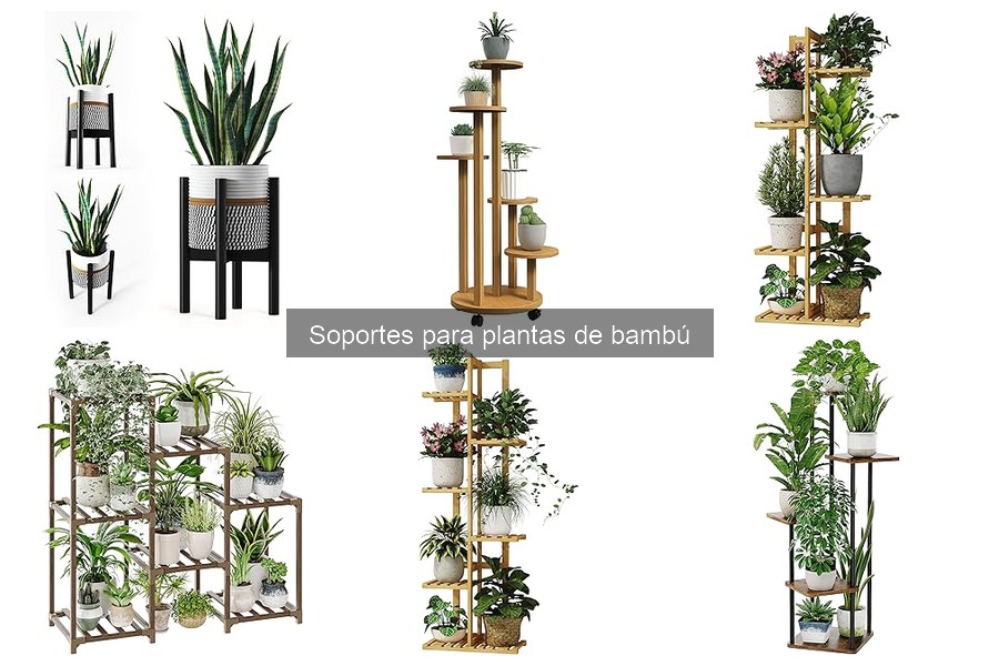 Comparativa: Soportes de Madera vs Metálicos para Plantas de Bambú