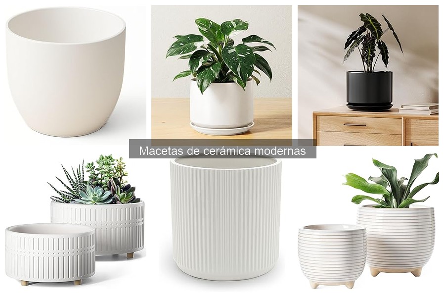 Compra macetas de cerámica modernas online: mejores opciones