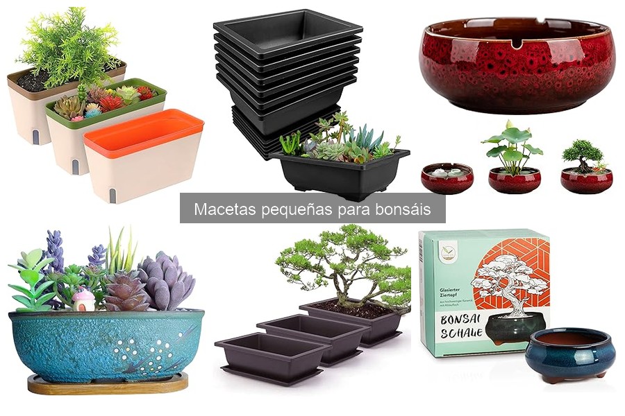 Consejos creativos para decorar macetas pequeñas para bonsáis
