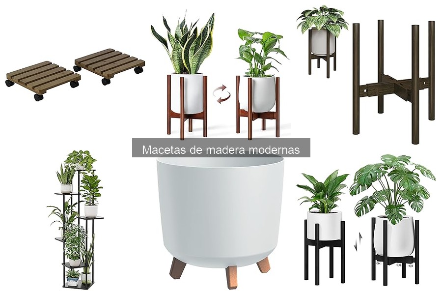 Consejos para combinar plantas con macetas de madera modernas